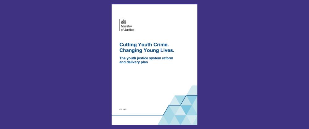 Cutting Youth Crime. Changing Young Lives. What does this White Paper mean for schools?